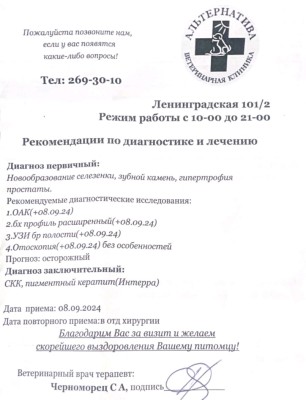 IMG_20240908_143505.jpg