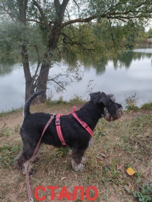 IMG-20240928-WA0005.jpg (94.57 КБ) 730 просмотров IMG-20240928-WA0005.jpg