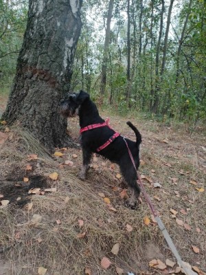 IMG-20240928-WA0004.jpg (115.01 КБ) 730 просмотров IMG-20240928-WA0004.jpg