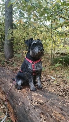 IMG-20240928-WA0003.jpg (166.98 КБ) 730 просмотров IMG-20240928-WA0003.jpg