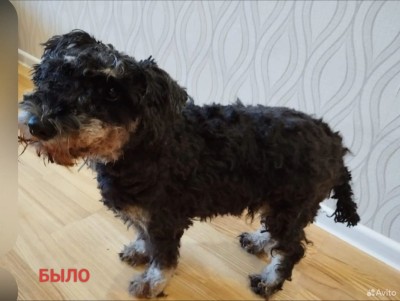 IMG-20240928-WA0007.jpg (70.5 КБ) 709 просмотров IMG-20240928-WA0007.jpg