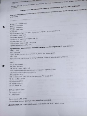 IMG_20241003_083150.jpg (248.87 КБ) 8183 просмотра IMG_20241003_083150.jpg