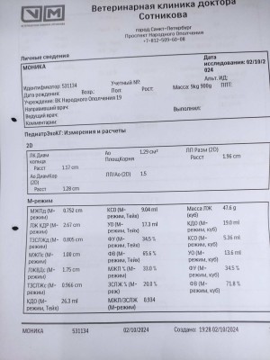 IMG_20241003_083212.jpg (242.21 КБ) 8270 просмотров IMG_20241003_083212.jpg