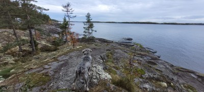 IMG-20241007-WA0005.jpg