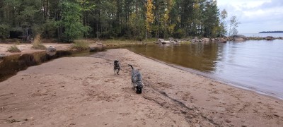 IMG-20241007-WA0004.jpg