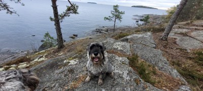 IMG-20241007-WA0006.jpg