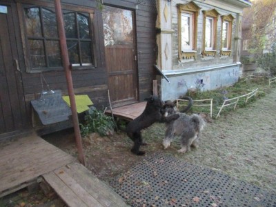 vLFuW_OX6SCX4qDZjxQegW2VTyLBo6b-85Q_VUe7ZO7VHM83ZSol03slZeN-dyD1F8jOJ88_lAVdGH5pE_fU9CbP-1.jpg