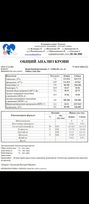 IMG-20241117-WA0028.jpg