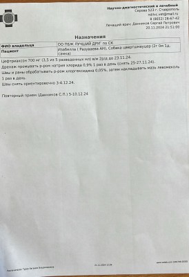 WhatsApp Image 2024-11-21 at 14.15.45.jpeg
