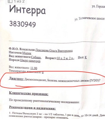 IMG-20241121-WA0054.jpg
