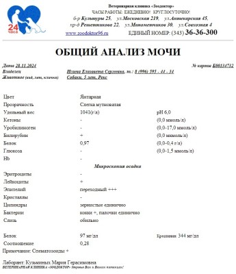 IMG-20241128-WA0038.jpg