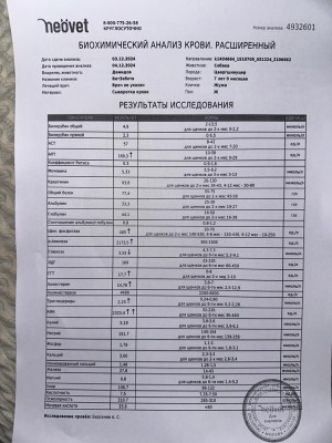 IMG-20241204-WA0020.jpg