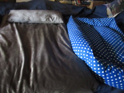 IMG_0370.JPG (136.52 КБ) 25366 просмотров сразу две новенькие лежаночки!Спасибо!!