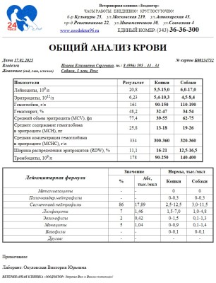 IMG-20250217-WA0014.jpg