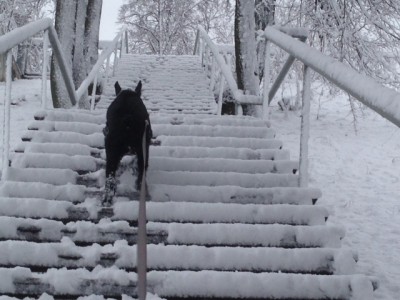 пошли уже домой