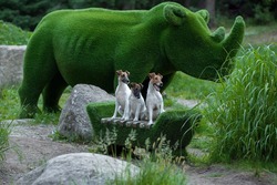 IMG-20250313-WA0030 (1).jpg