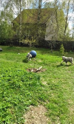 IMG-20250506-WA0018.jpg