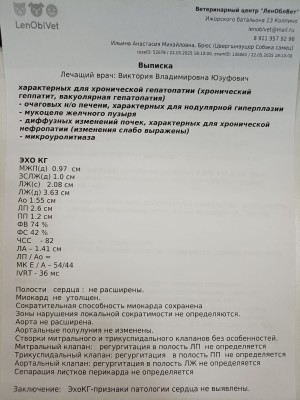 WhatsApp Image 2025-05-22 at 21.13.28.jpeg