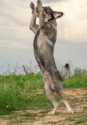 -oKDQp2Xm1e9zv-nJnGZQun4JAMy8tjgRQaGOVWi6v68yRbYZHuMLT_k8iV6aVmkOMoQuwLq9V32uwDUWv4DJ4qU.jpg