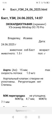 IMG-20250624-WA0021.jpg