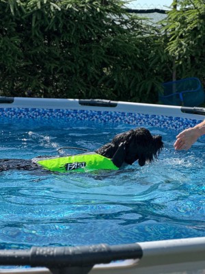 IMG_20250703_174914_345.jpg