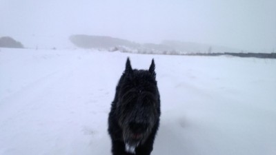 WP_20130205_018.jpg
