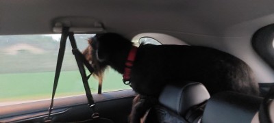 IMG-20250816-WA0019.jpg