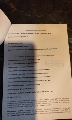 IMG_20250907_154504.jpg