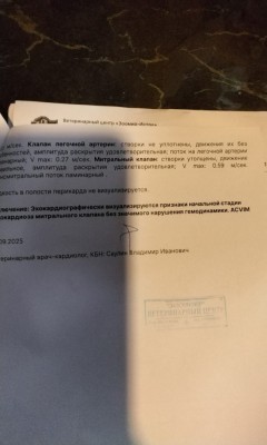 IMG_20250907_154451.jpg
