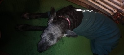 IMG-20250925-WA0000.jpg