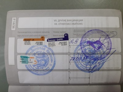 WhatsApp Image 2025-09-28 at 10.59.29 AM.jpeg