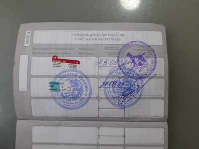 WhatsApp Image 2025-09-28 at 10.59.29 AM (1).jpeg