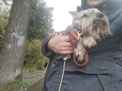 IMG-20250927-WA0011.jpg (213.83 КБ) 1287 просмотров IMG-20250927-WA0011.jpg