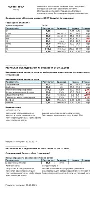 Screenshot_2025-10-21-22-22-25-839_com.mi.globalbrowser.jpg