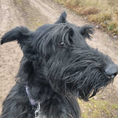 Семитских черты просматриваются. В задумчивости перед выполнением Лежать.