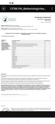 WhatsApp Image 2025-11-09 at 1.48.25 AM.jpeg