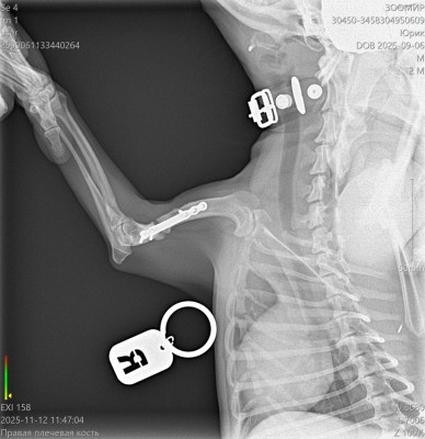 WhatsApp Image 2025-11-12 at 3.00.09 PM.jpeg