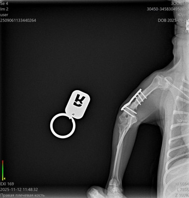 WhatsApp Image 2025-11-12 at 3.00.49 PM.jpeg