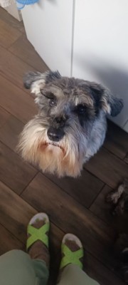 photo_2026-01-11_13-53-00 (2).jpg