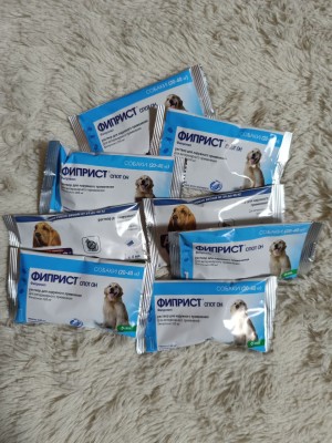 5465603286305016715 (3).jpg