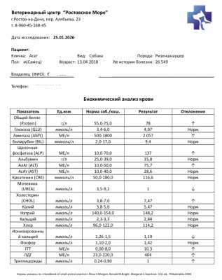 БХ крови 25.01.26.jpg (180.28 КБ) 237 просмотров БХ крови 25.01.26.jpg