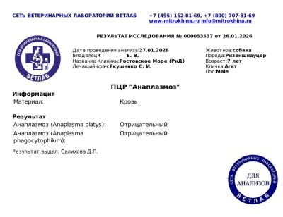Анаплазмоз.jpg (174.47 КБ) 11946 просмотров Анаплазмоз.jpg