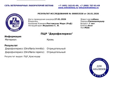 Дирофиляриоз.jpg (173.23 КБ) 234 просмотра Дирофиляриоз.jpg