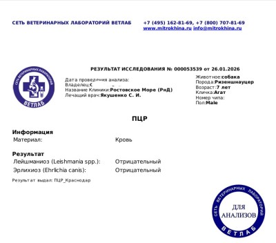 Лейшманиоз и эрлихиоз.jpg (176.96 КБ) 11946 просмотров Лейшманиоз и эрлихиоз.jpg