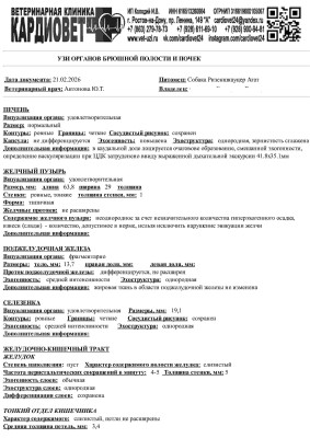 Соколова соб Агат УЗИ-изображения-0.jpg (248.04 КБ) 261 просмотр Соколова соб Агат УЗИ-изображения-0.jpg