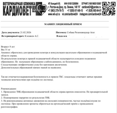 Осмотр 21.02.26.jpg (225.27 КБ) 11942 просмотра Осмотр 21.02.26.jpg