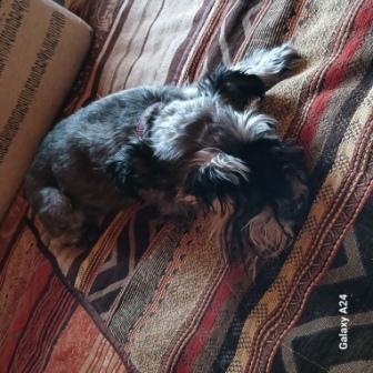 2026-02-10 13-11-14.JPG