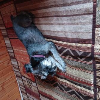 2026-02-10 13-11-43.JPG