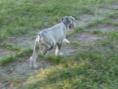 image (11).jpg