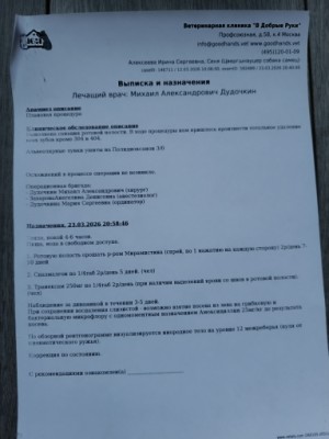 IMG_20260402_175053 (1).jpg